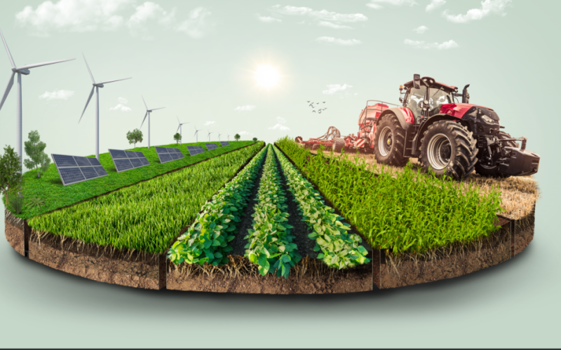 Купуємо гербіциди для польових культур: онлайн-магазин Аoplatforma