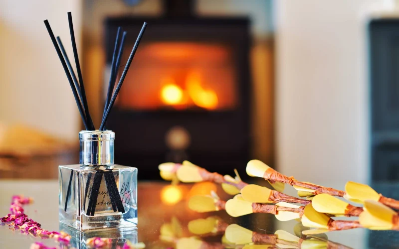 Чем хороши аромадиффузоры с палочками для дома